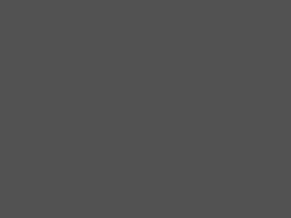 9254 STEEp grey