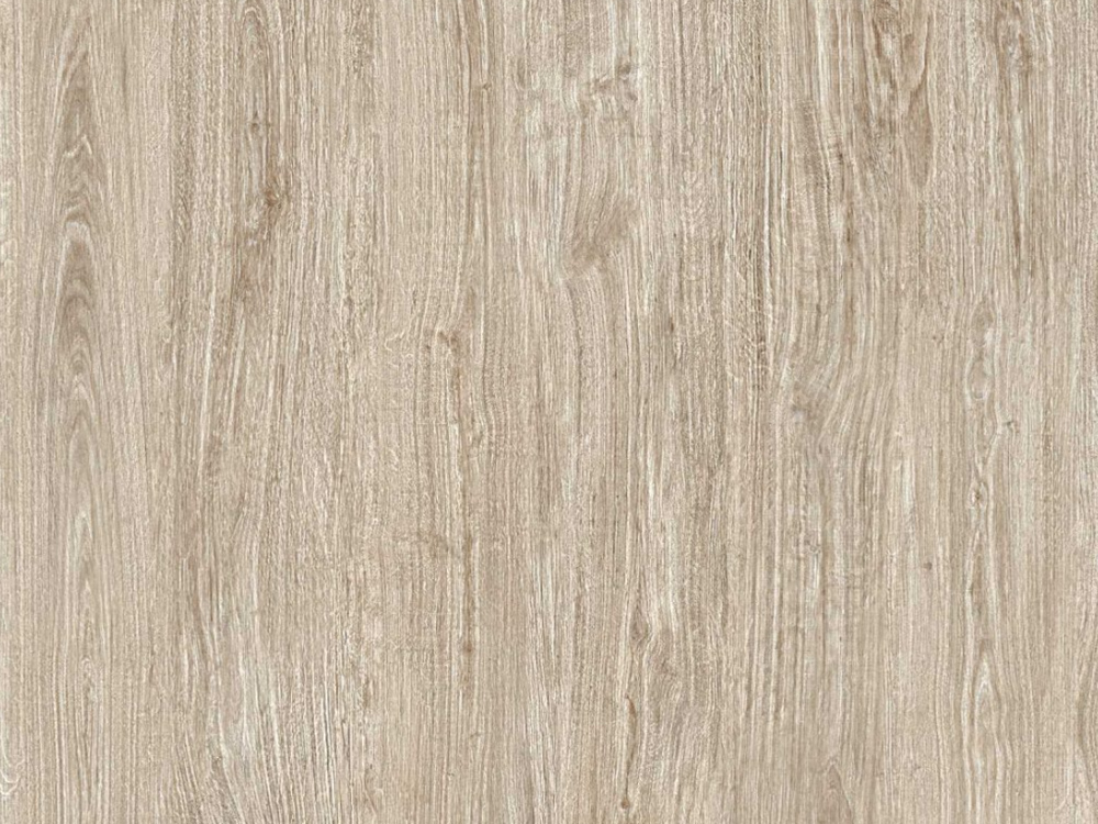 woods