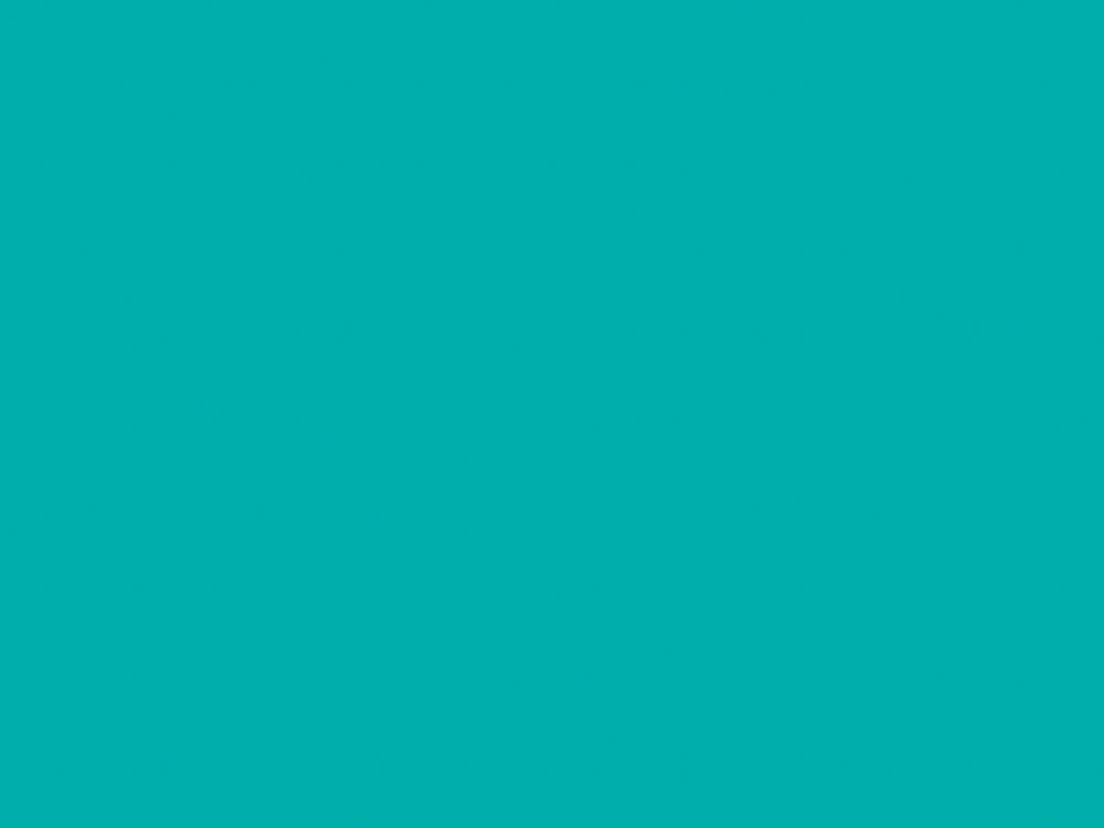 0876<br>FROSTED TEAL