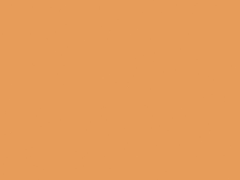 0551<br>BS PEACH