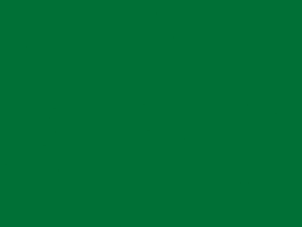 9561<br>BS OXIDE GREEN