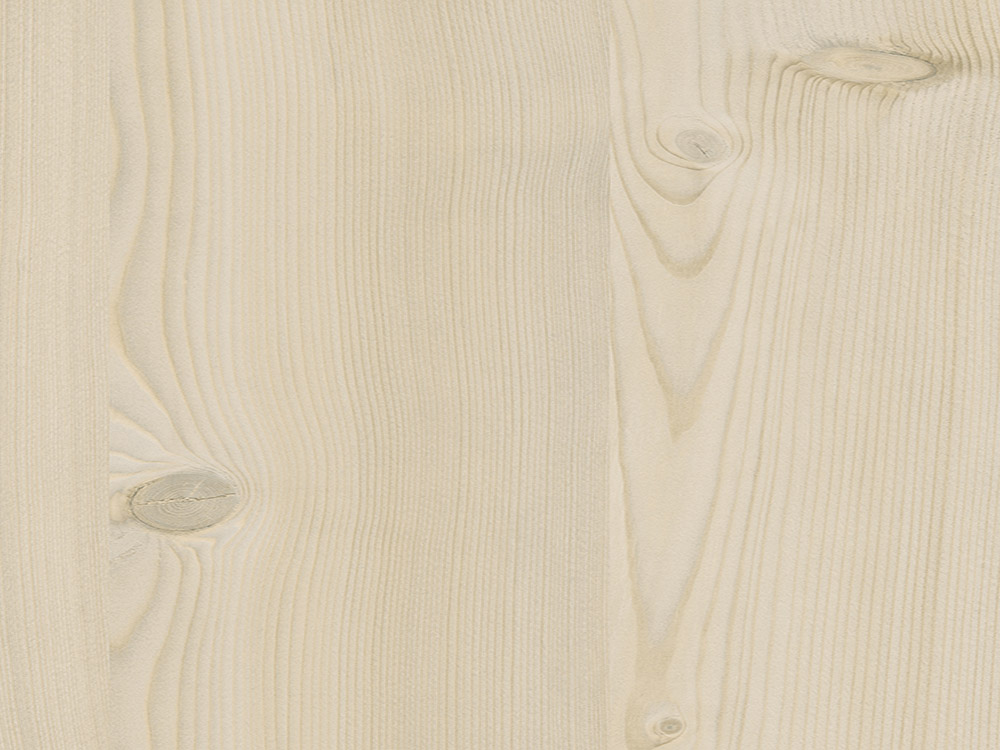 0912<br>SAND LAKESIDE LARCH