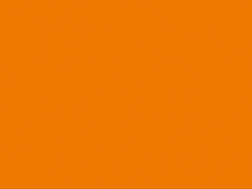 0132 <br>BS Orange
