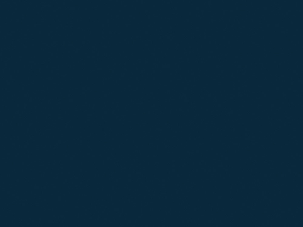 8984<br>BS NAVY BLUE